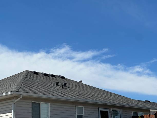 Best Cold Roofs  in New London, OH